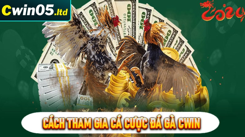 Hướng dẫn cách tham gia cá cược đá gà cwin 